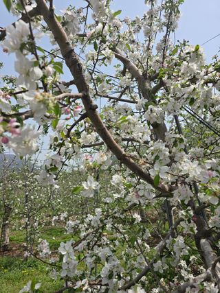최동구님의 기타작물 · 영농일지 작성글 사진
