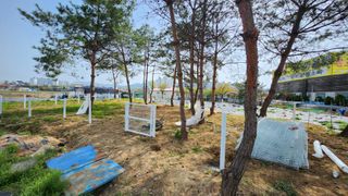 신애현님의 기타작물 · 영농일지 작성글 사진