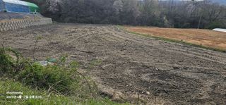 초보농부님의 벼 · 영농일지 작성글 사진