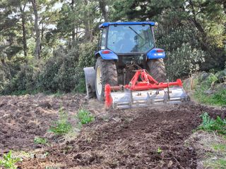 Captain김상곤님의 매실 · 영농일지 작성글 사진