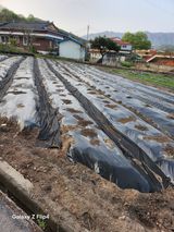 팜모닝 기타작물·영농일지 게시글 이미지