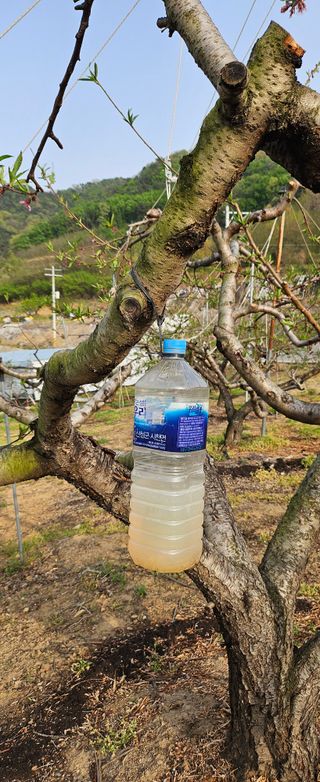 종합선물세트님의 기타작물 · 영농일지 작성글 사진