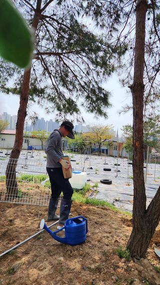 신애현님의 기타작물 · 영농일지 작성글 사진