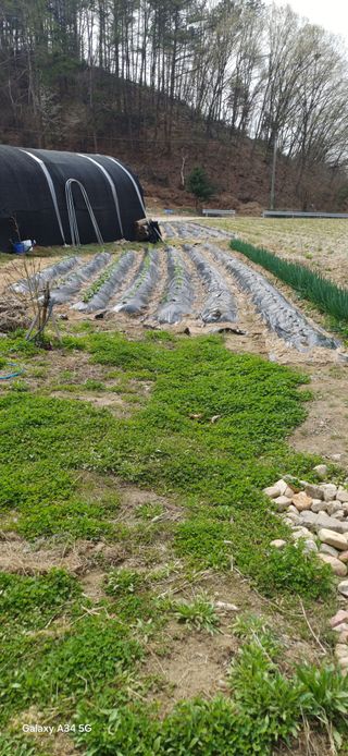 심 영훈님의 기타작물 · 영농일지 작성글 사진