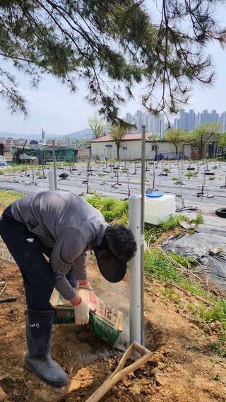 신애현님의 기타작물 · 영농일지 작성글 사진