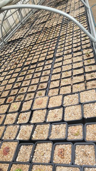 우성철님의 기타작물 · 영농일지 작성글 사진