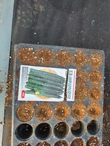 팜모닝 기타작물·영농일지 게시글 이미지