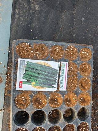 나선기님의 기타작물 · 영농일지 작성글 사진