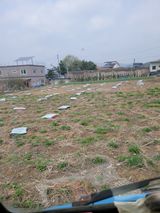 팜모닝 기타작물·영농일지 게시글 이미지