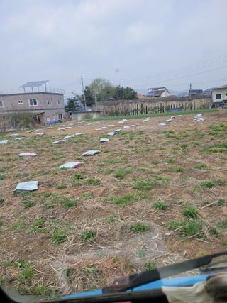 신상범님의 기타작물 · 영농일지 작성글 사진