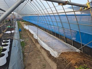 나선기님의 기타작물 · 영농일지 작성글 사진