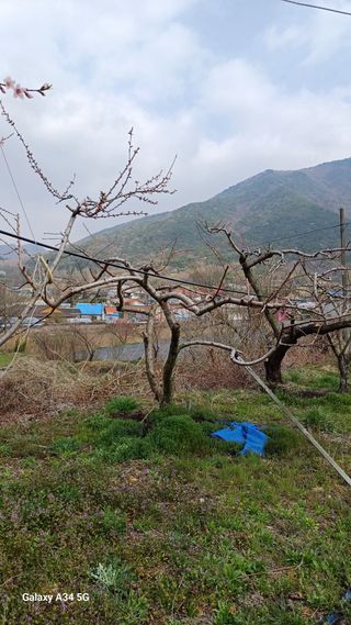 박원용님의 기타작물 · 영농일지 작성글 사진