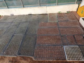 구봉갑산님의 기타작물 · 영농일지 작성글 사진