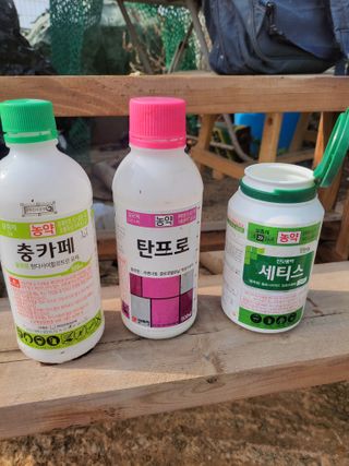 정택님의 매실 · 영농일지 작성글 사진