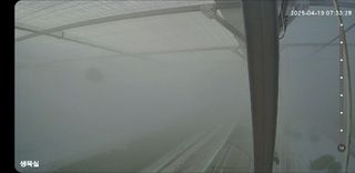 브리즈팜님의 상추 · 영농일지 작성글 사진