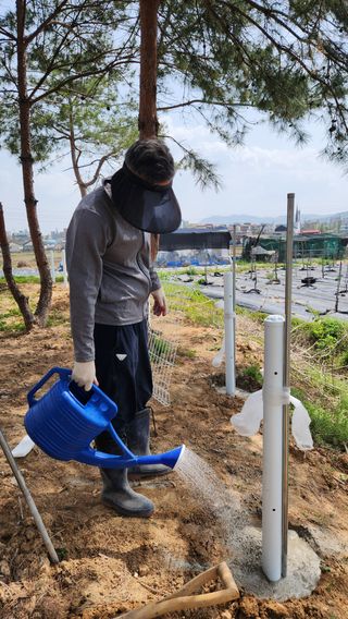 신애현님의 기타작물 · 영농일지 작성글 사진