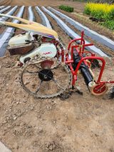 팜모닝 기타작물·영농일지 게시글 이미지