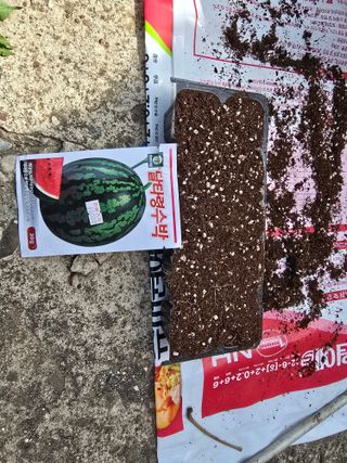 심기정님의 기타작물 · 영농일지 작성글 사진