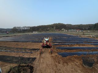 류승원님의 기타작물 · 영농일지 작성글 사진