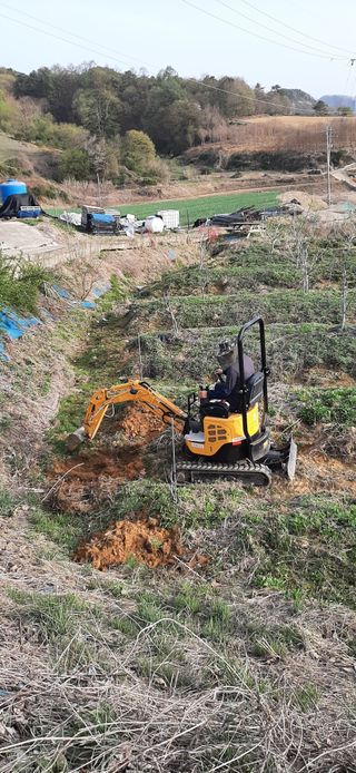 마이산 호두농원님의 기타작물 · 영농일지 작성글 사진