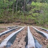 팜모닝 감자·영농일지 게시글 이미지