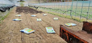 윤태희님의 고추 · 영농일지 작성글 사진