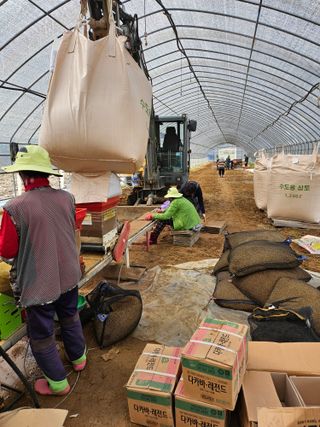 하이론님의 벼 · 영농일지 작성글 사진