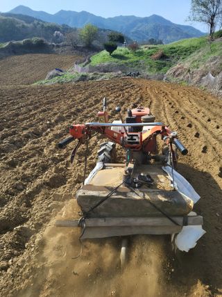 회인농부님의 고구마 · 영농일지 작성글 사진