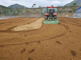 김정태님의 고추 · 영농일지 작성글 사진