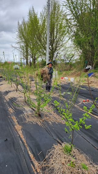 정헌경님의 기타작물 · 영농일지 작성글 사진
