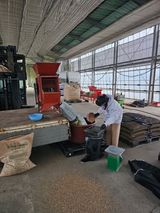 팜모닝 벼·영농일지 게시글 이미지