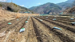 이순기님의 기타작물 · 영농일지 작성글 사진