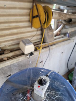 박치문님의 블루베리 · 영농일지 작성글 사진