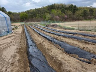 장두학님의 기타작물 · 영농일지 작성글 사진