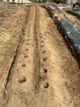 팜모닝 감자·영농일지 게시글 이미지