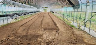 윤태희님의 고추 · 영농일지 작성글 사진