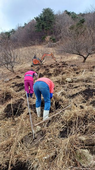 이순기님의 기타작물 · 영농일지 작성글 사진