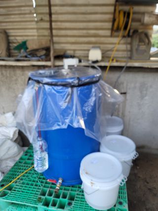 박치문님의 블루베리 · 영농일지 작성글 사진