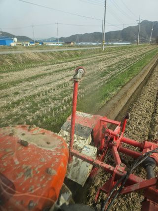 권정식님의 벼 · 영농일지 작성글 사진