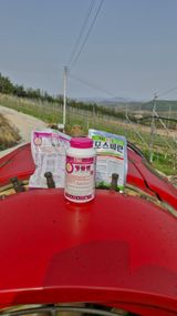 팜모닝 기타작물·영농일지 게시글 이미지