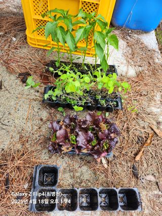 최병천님의 기타작물 · 영농일지 작성글 사진