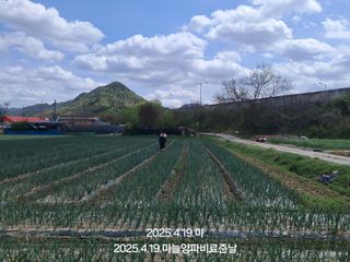 오석철(aasd11님의 기타작물 · 영농일지 작성글 사진
