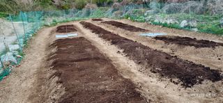 달맛햇복숭아농원님의 복숭아 · 영농일지 작성글 사진