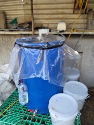 박치문님의 블루베리 · 영농일지 작성글 사진