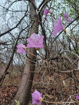 나무님의 기타작물 · 영농일지 작성글 사진