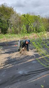 팜모닝 기타작물·영농일지 게시글 이미지