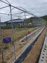 팜모닝 콩·영농일지 게시글 이미지