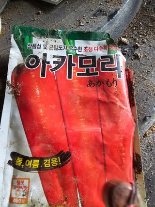 소양강님의 기타작물 · 영농일지 작성글 사진