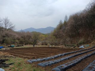 나무님의 기타작물 · 영농일지 작성글 사진