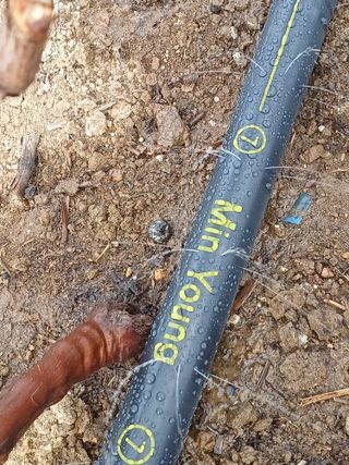 상훈경영체등록5년차님의 기타작물 · 영농일지 작성글 사진